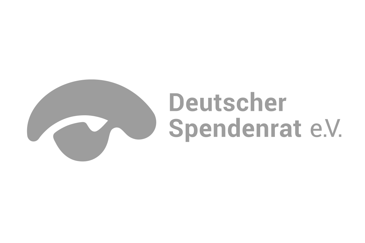 Website_Logo_Footer_Deutscher_Spendenrat.png